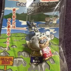 ★ドリフ】踊りだ!!加トちゃん ぬいぐるみ5体セット【超レア】 2025年最新】加トちゃん ぬいぐるみの人気アイテム - メルカリ