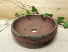 常滑焼　庄八作植木鉢　落款あり 常滑焼 庄八作植木鉢 落款あり