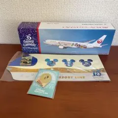 ⭐︎東京ディズニーシー15周年 JAL 飛行機モデル プレーン模型 1:200