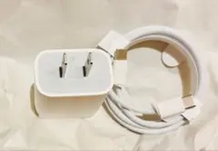 【Apple純正】Apple 20W USB-C充電器と編み込み式ケーブル