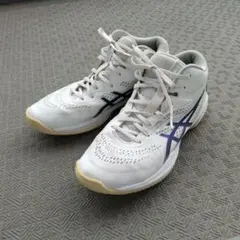 ASICS GEL-HOOP バスケットボールシューズ