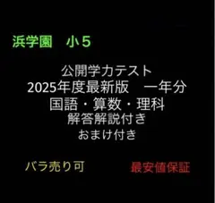 浜学園　小5　公開テスト　国算理　3教科　解答解説付き　2025年度　最新版のサムネイル