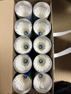 Item thumbnail for item 7e180a46-2fc6-4b56-93e5-2a46662343e7