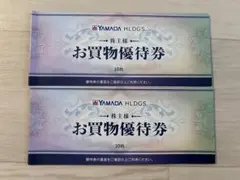 ヤマダ電機　HLDGS 株主優待券 20枚　10000円