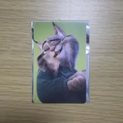 ズートピア　オーマイカフェ　予約特典　パウバート　ズートピア２ ステッカー