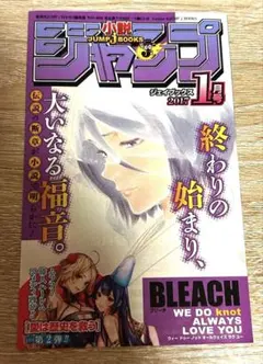 朽木ルキア BLEACH ジャンプ コミック チラシ 非売品 希少