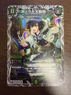 2026年最新】ブラキオ龍樹の人気アイテム - メルカリ