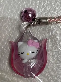 ハローキティ【尾瀬バージョン根付】2005