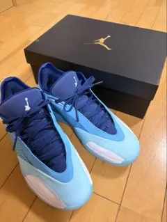 Jordan Triangle PF バスケットボールシューズ - メルカリ