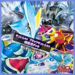 ポケモンカード　キュレムex ブラックキュレムex構築済デッキ