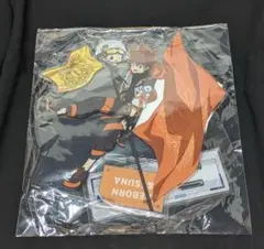 ラッキー缶バッジ REBORN ! ゴールド賞 リボーン＆沢田綱吉 アクスタ