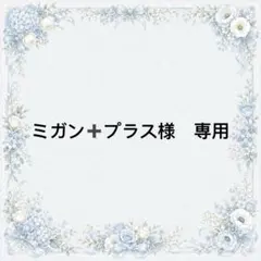 ミガン➕プラス様　専用
