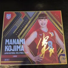 宮部藍梨 バレーボール女子日本代表 トレーディングmini色紙 - メルカリ