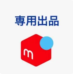 専用出品