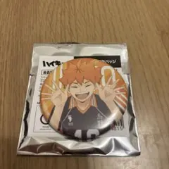 ハイキュー　日向翔陽　2点セット