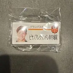 グラ学名札風アクリルバッジ ピサノアレクサンドレ幸冬堀尾