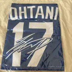 2025年最新】大谷翔平 タオル 東京の人気アイテム - メルカリ