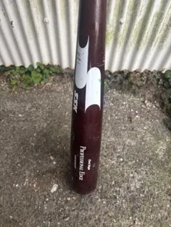 Item thumbnail for item 9b77a749-891a-4a69-ad1b-1f8c6f0c5833