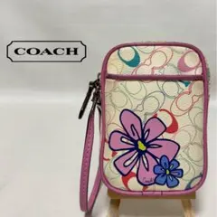 COACH コーチ ポーチ シグネチャー マルチカラー 希少モデル y2kのサムネイル