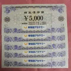 早稲田アカデミー 株主優待券 5枚 25000円分
