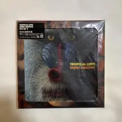 2026年最新】電気グルーヴ 限定盤の人気アイテム - メルカリ