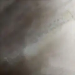 Item thumbnail for item 5d60f7d1-01f8-40a9-bc3b-0d9a906fe6bf