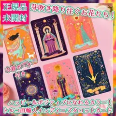 リースカツムゲン　デュエマデッキ　ピザスターのアンティハムト　永遠の絆　引退品 リースカツムゲン デュエマデッキ ピザスターのアンティハムト 永遠の