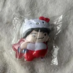なにわ男子 西畑大吾 サンリオコラボ ぬいぐるみ