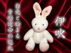 2511【九尾之巫女姫紫色髪美少女白狐 】 糸魚川産翡翠稲荷編みぐるみ御
