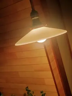 Item thumbnail for item b636147b-e10b-4179-8c3a-741f1e103d0b