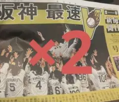 阪神タイガース 優勝　号外　毎日新聞　2枚セット