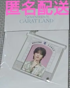 SEVENTEEN セブチ ケレン 2024 アクリルフォトキーリング ウォヌ