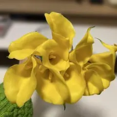 Item thumbnail for item f392ac4b-f7e4-4413-aa92-195734d149d9