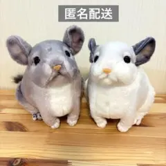 りあるあにまるず チンチラ ぬいぐるみ vol.2 2色　まとめ売り　最終価格‼︎