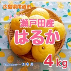 【Mykonos…様専用】広島県/瀬戸田産 はるか 4kg みかん