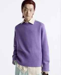 ZARA / ザラパープル ニットHarry Lambert