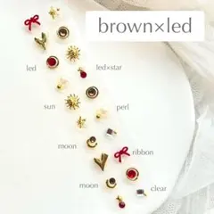 耳ツボジュエリー　大人気　20粒　2点目500円　ブラウン×レッド