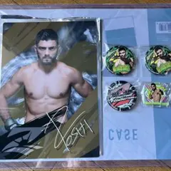 Item thumbnail for item 684eff43-0207-43a4-a19b-d85414c47cf9