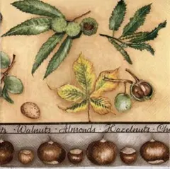 ꕤ︎︎·͜· ︎︎ autumn1⑫・ 4枚セットペーパーナプキン