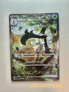 mogura0105様 リクエスト 2点 まとめ商品