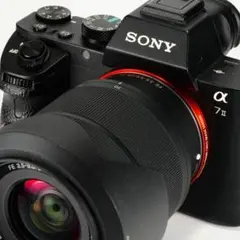 極美品！SONY α7II完全セット 1531回 フルサイズデビューに 591 - メルカリ