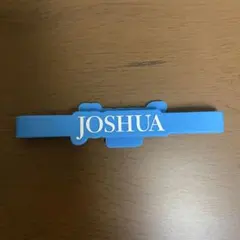 seventeen ジョシュア ペンライトアクセサリー