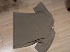 ヴァイナルアーカイブ、フルーツオブザルーム別注Tシャツオリーブネイビー2枚セット