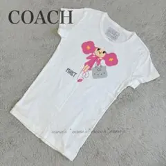 Item thumbnail for item b468af11-7f22-406a-9658-9ca10fce8dd6