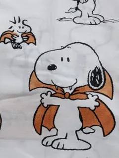 2025年最新】スヌーピーヴィンテージシーツの人気アイテム - メルカリ