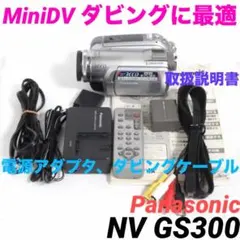 美品★NV-GS300 Panasonic MiniDVビデオカメラ 1011