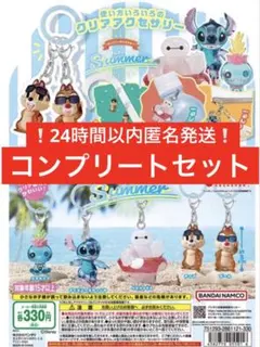 コンプセット】ディズニーキャラクター めじるしアクセサリー summer