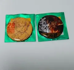 鬼滅の刃　隊士百景　我妻善逸　エモーショナル缶バッジ40　28　29