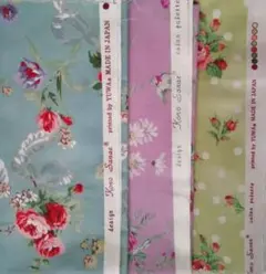 Item thumbnail for item b0e4f541-70d7-408e-9efb-701f0c99f06a