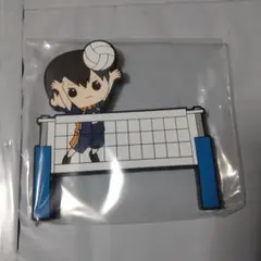 みんなのくじ　ハイキュー　マグネットフック　影山